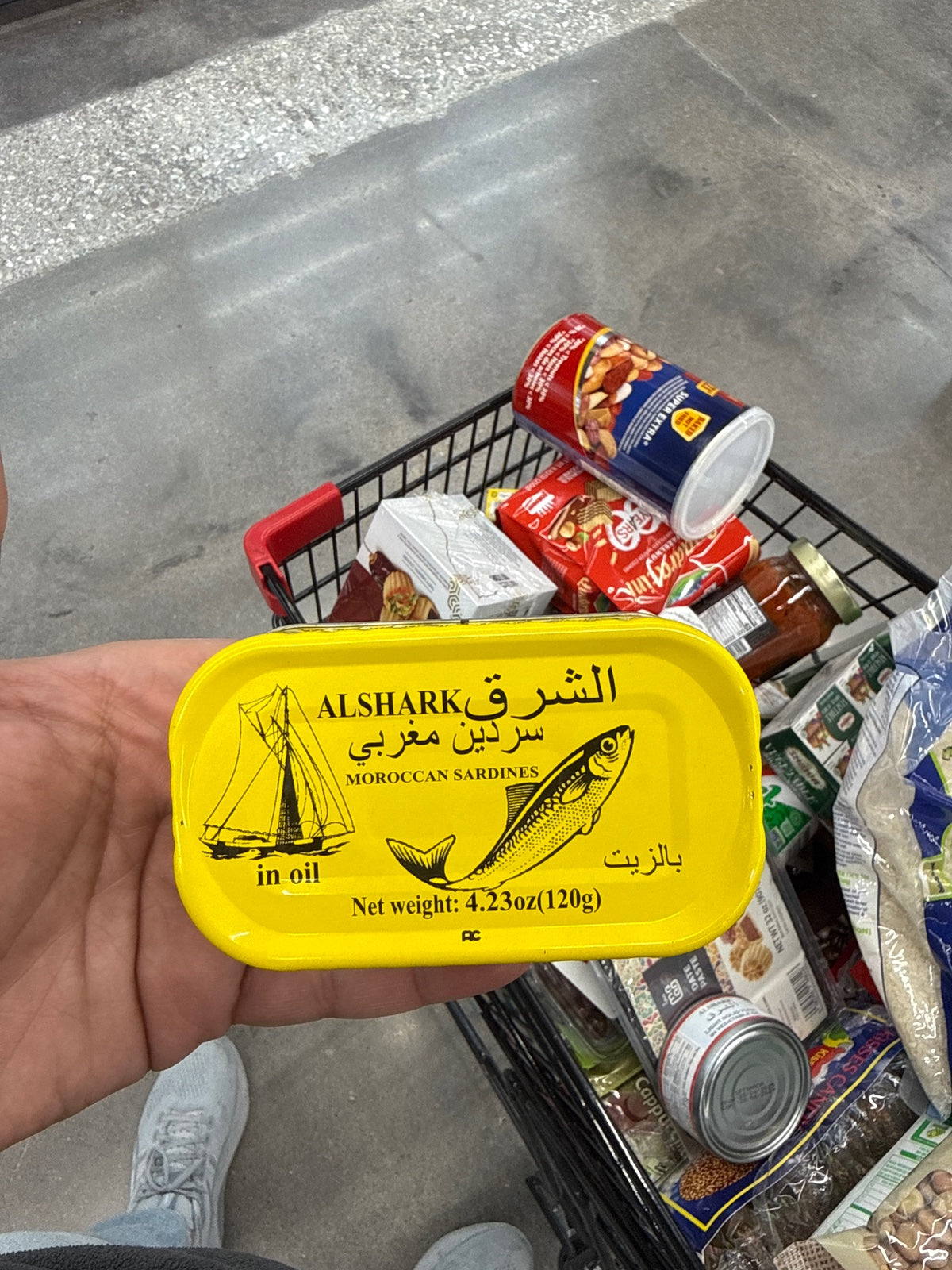 ALSHARK Sardines Moroccan In Oil 4.4oz