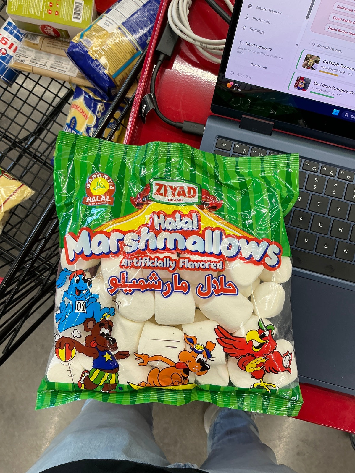 Ziyad Halal Marshmallows 8.82oz (250g)